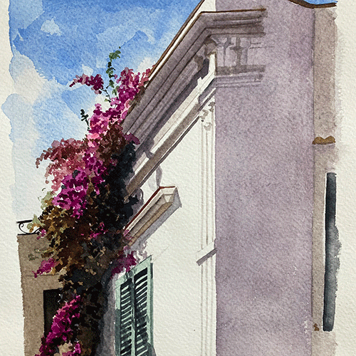 Bougainvillea-in-Ischia-by-Ann-Froomberg